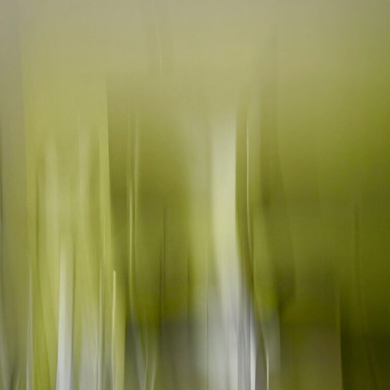 Flou aromatique