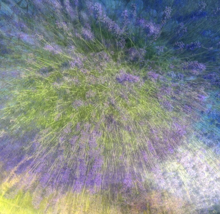 Songe de Provence